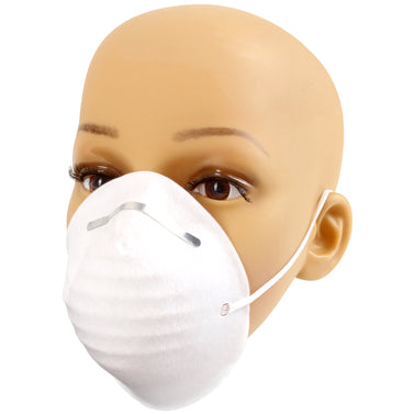 10Pc Dust Mask Set Amtech